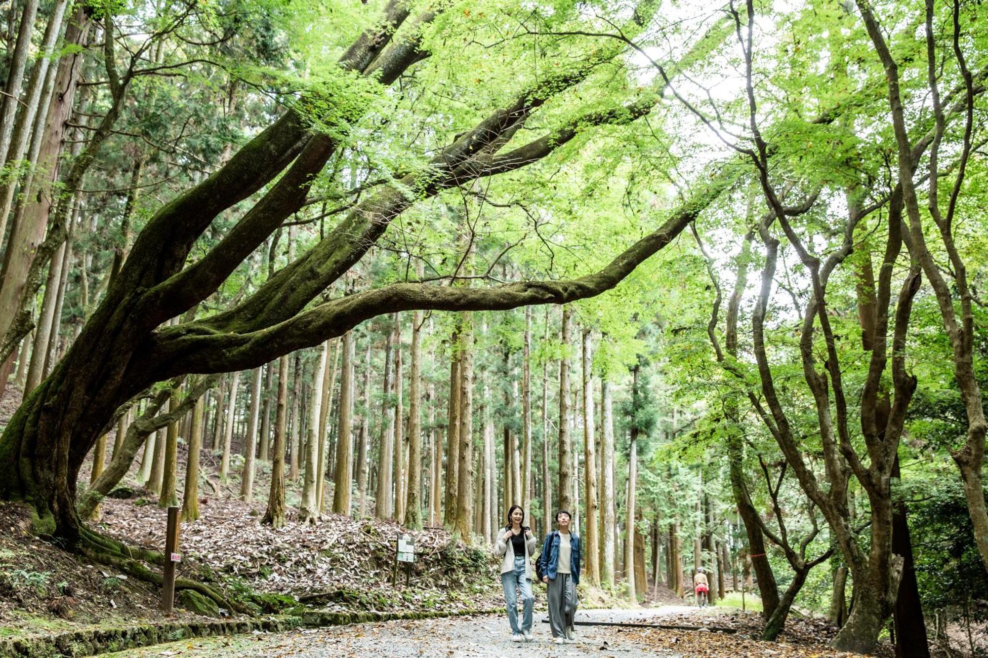 Ando Hotel Nara Wakakusayama -Dlight Life & Hotels- Exterior foto